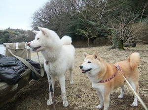 DSCF1900.JPG