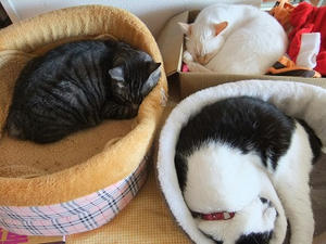 DSCF031004.JPG