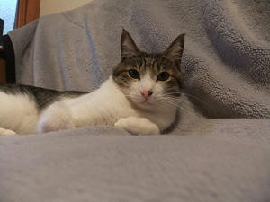 DSCF1932.JPG