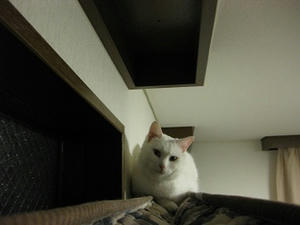 IMG_1271.JPG