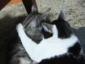 DSCF2031.JPG