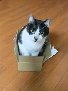 DSCF2004.JPG