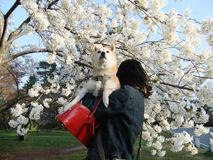 DSCF2068.JPG