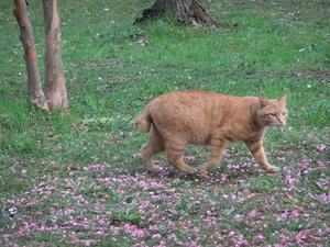 DSCF2049.JPG