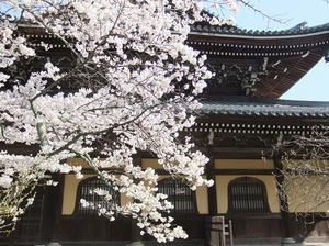 DSCF2106.JPG