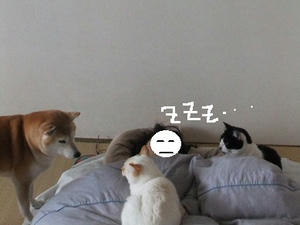 DSCF2023.JPG