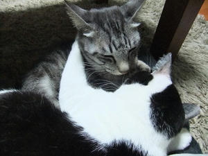 DSCF2028.JPG