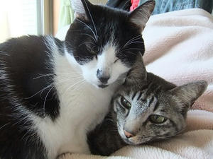 DSCF2037.JPG