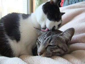 DSCF2040.JPG