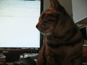 DSCF2033.JPG