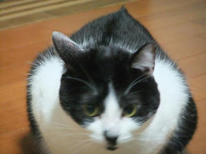 DSCF2172.JPG