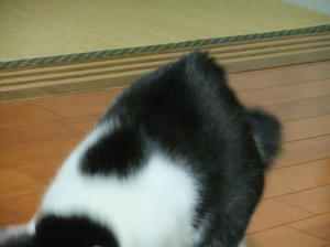 DSCF2170.JPG