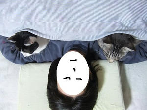 DSCF2198.JPG