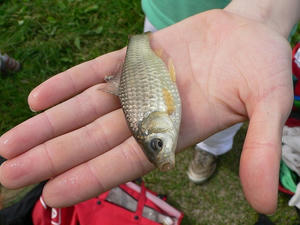 P1010008.jpg