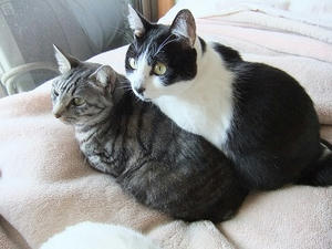 DSCF2191.JPG