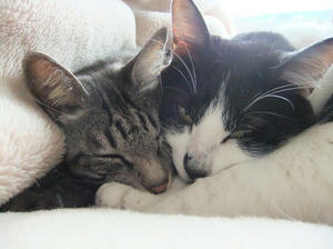 DSCF2176.JPG