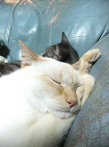 DSCF2269.JPG