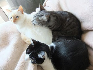 DSCF2043.JPG