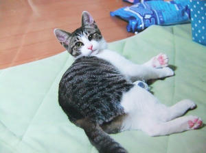 DSCF2306.JPG