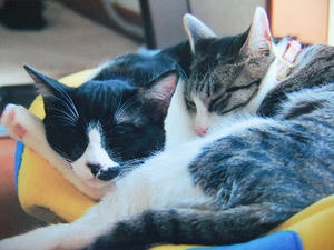 DSCF2278.JPG