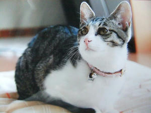 DSCF2305.JPG