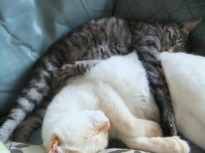 DSCF2299.JPG