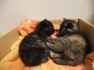 DSCF2390.JPG