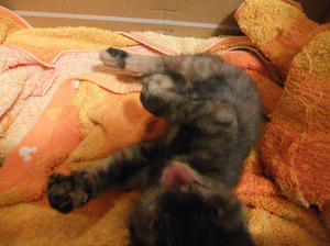 DSCF2423.JPG
