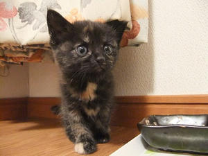 DSCF2375.JPG