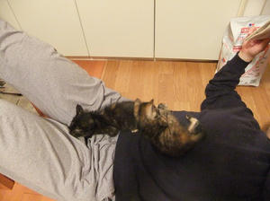 DSCF2530.JPG