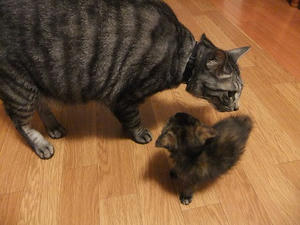 DSCF2465.JPG