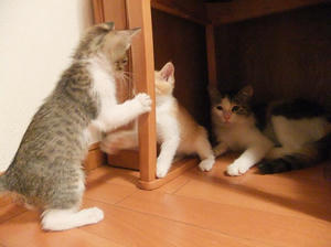 DSCF2682.JPG