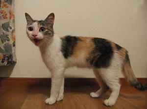 DSCF2672.JPG