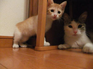 DSCF2678.JPG