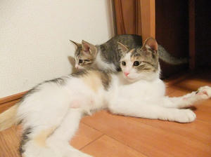 DSCF2681.JPG