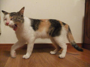 DSCF2673.JPG