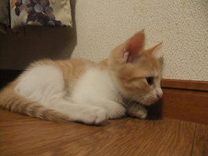 DSCF2687.JPG