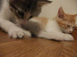 DSCF2691.JPG
