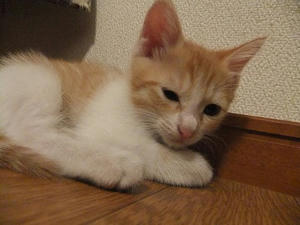 DSCF2690.JPG