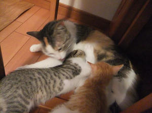 DSCF2745.JPG