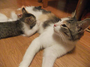 DSCF2765.JPG