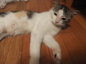DSCF2703.JPG