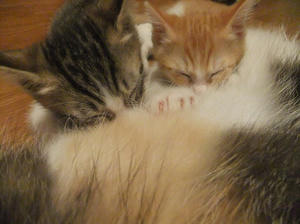 DSCF2763.JPG