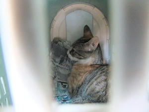 DSCF2861.JPG