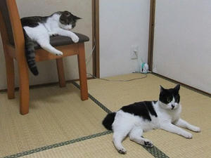 DSCF2869.JPG