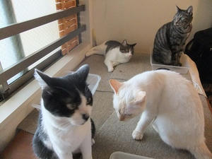 DSCF2889.JPG