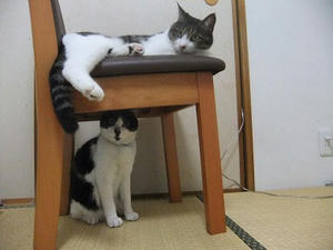 DSCF2875.JPG