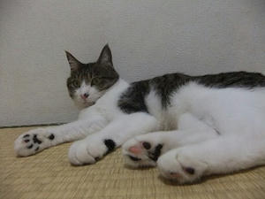 DSCF2877.JPG