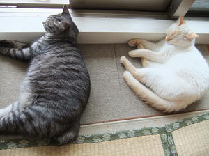 DSCF2694.JPG