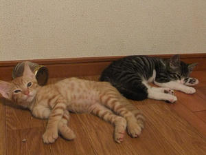 DSCF3044.JPG